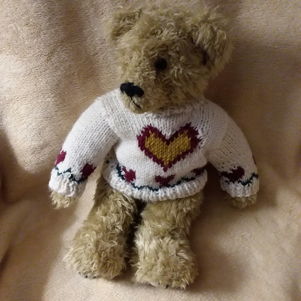 TY Bear